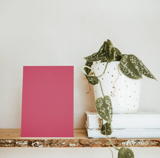 Pink Shopping Spree Color Chart Sample