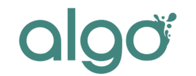 Logo Algo Paint