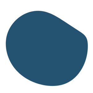 Balle D'équilibre Bleue - Diamètre 58 Cm, Poids Max 113 Kg | Pour Fitness, Rééducation, Renforcement Musculaire - 13
