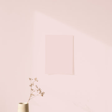 Échantillon Nuancier Rose Poudré