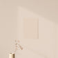 Échantillon Nuancier Beige Les Noisettes Coquettes