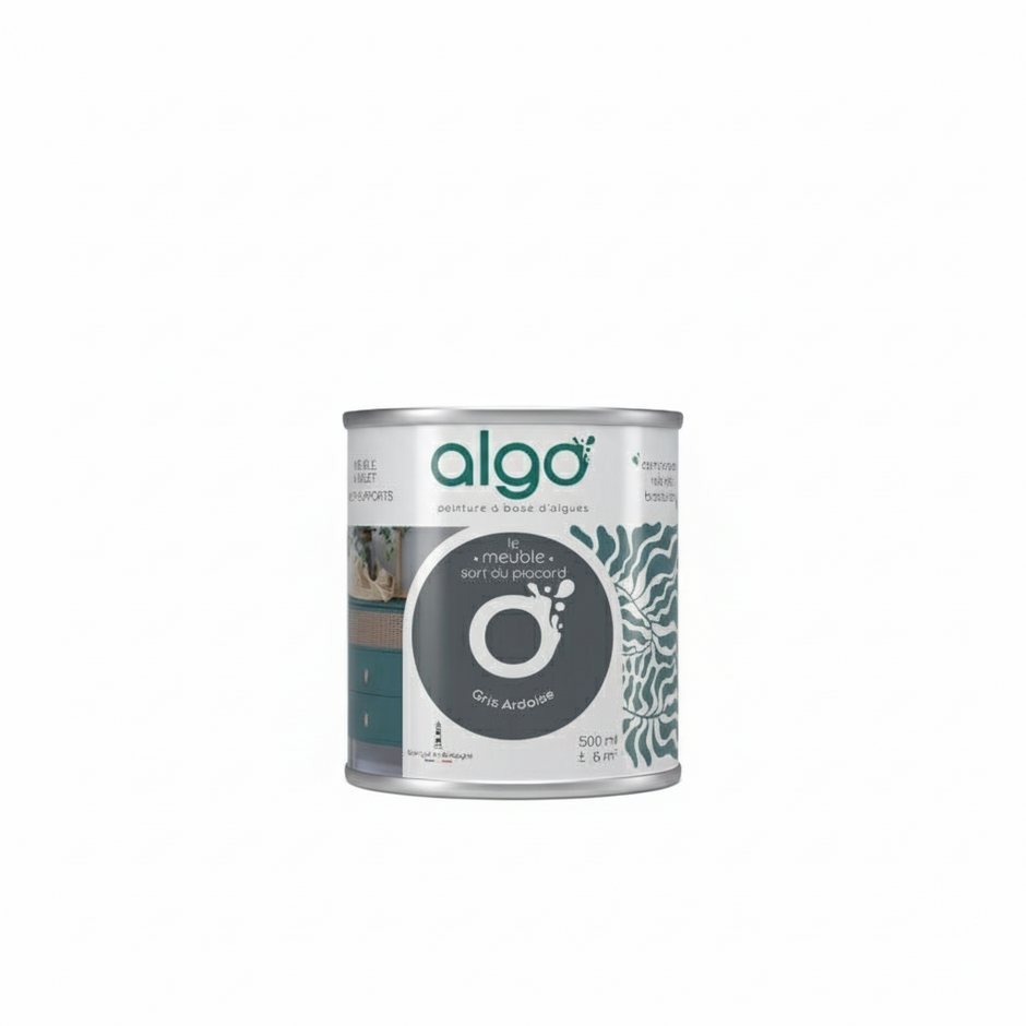 Peinture Algo Avisnull