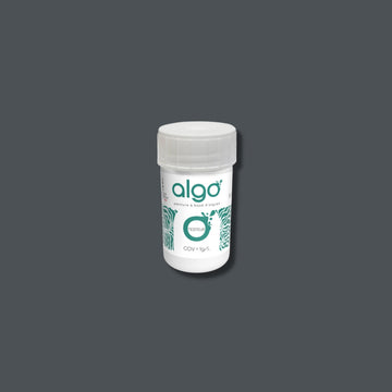 Algo Slate Grey Eco-Friendly Paint Tester