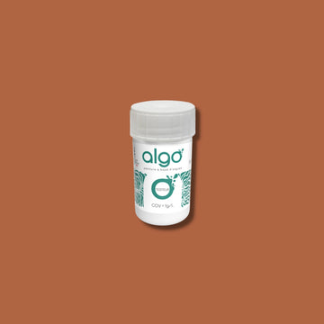 Algo Lanzarotte Eco-Friendly Paint Tester