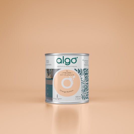 Peinture pour Meuble - Orange Radieux