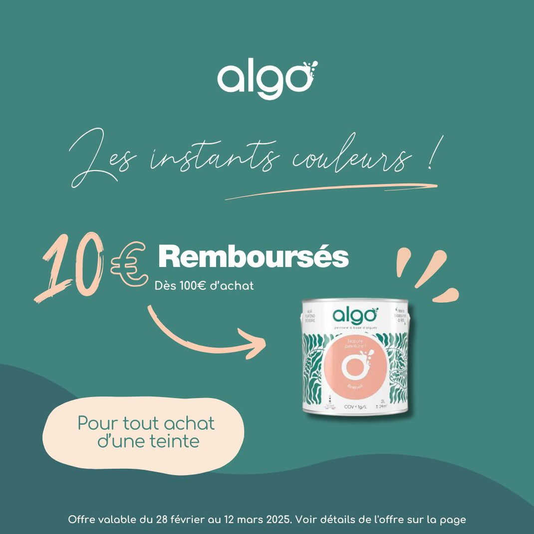 Peinture Algo Avis