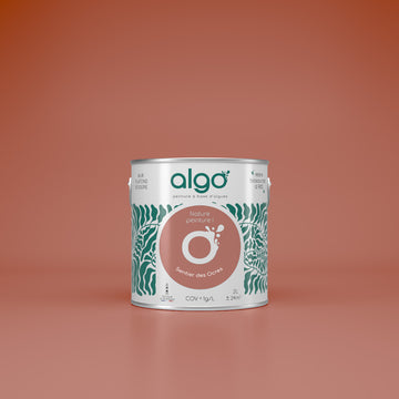 Algo Eco-Friendly Paint - Ochre Trail