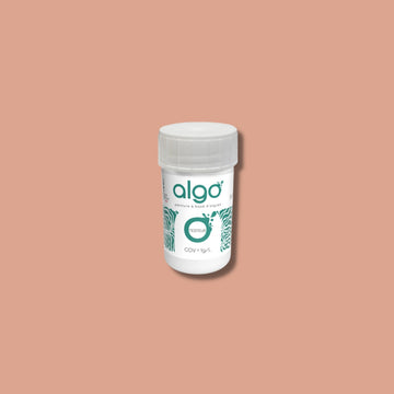 Algo Terracotta Eco-Friendly Paint Tester
