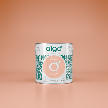 Algo Eco-Friendly Paint - Terracotta