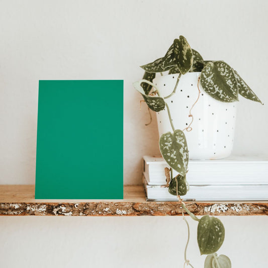 Algae Green Color Chart Sample