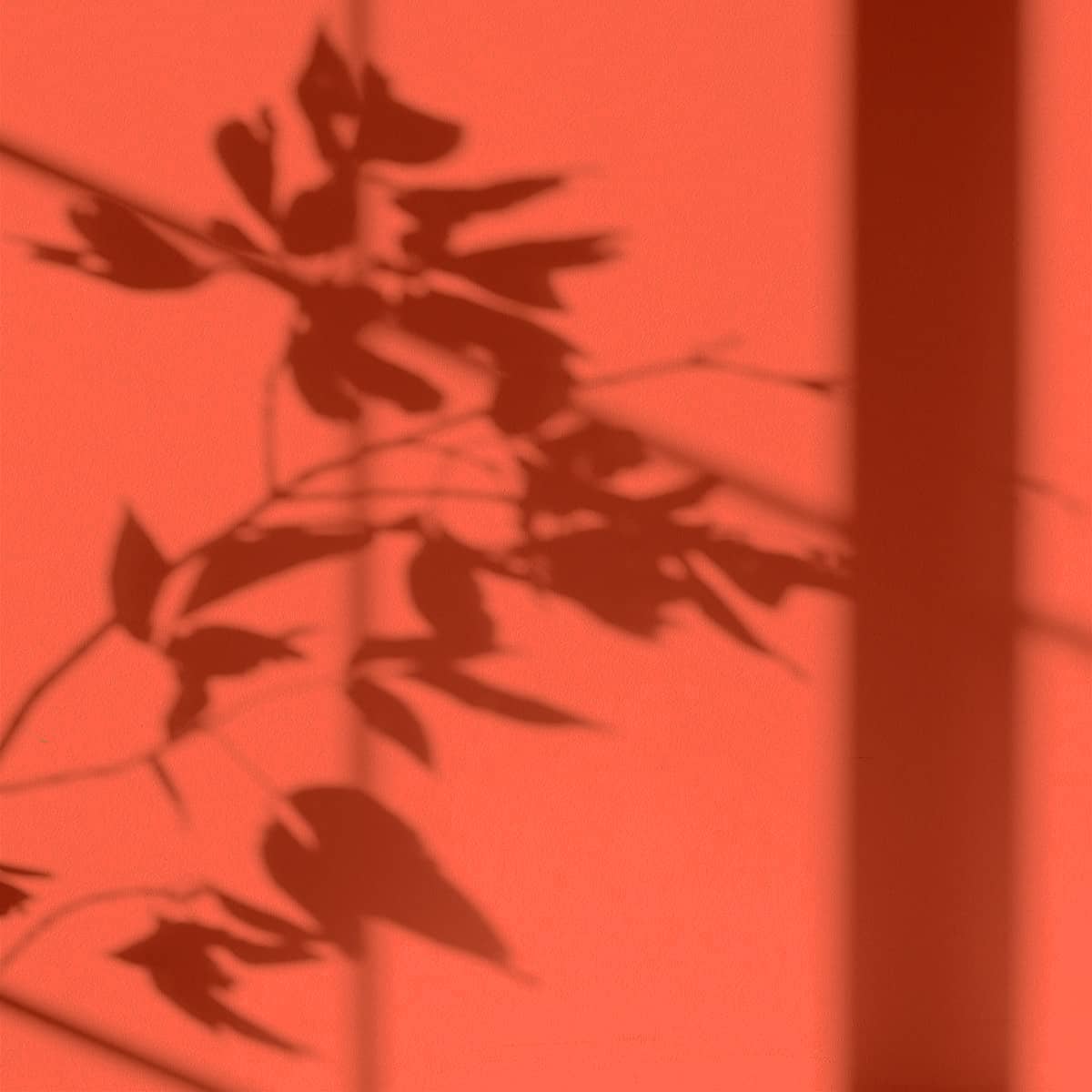 Peinture écologique Algo - Orange Koral
