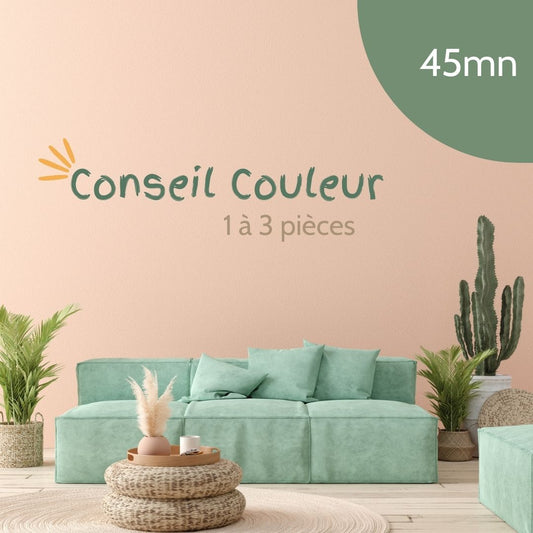 Conseil Couleur - 45 minutes