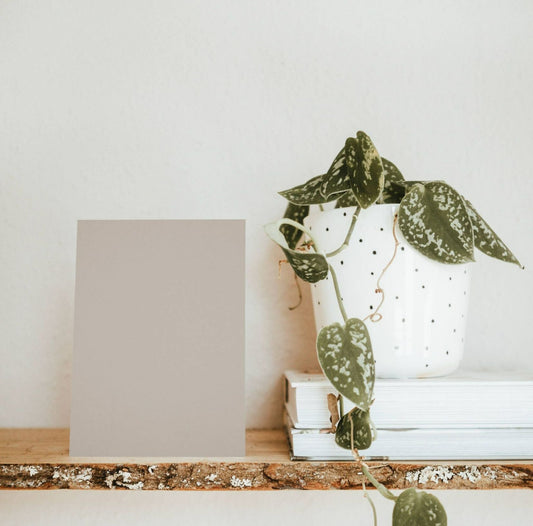 Beige Demoiselles Color Chart Sample