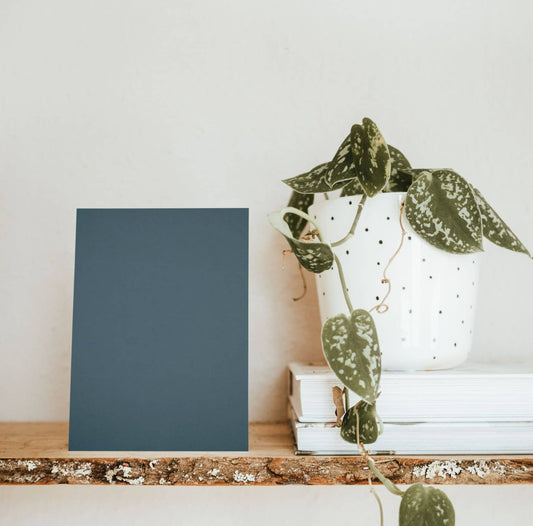 Pacific Blue Color Chart Sample