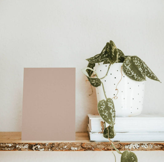 Pecan Brown Color Chart Sample