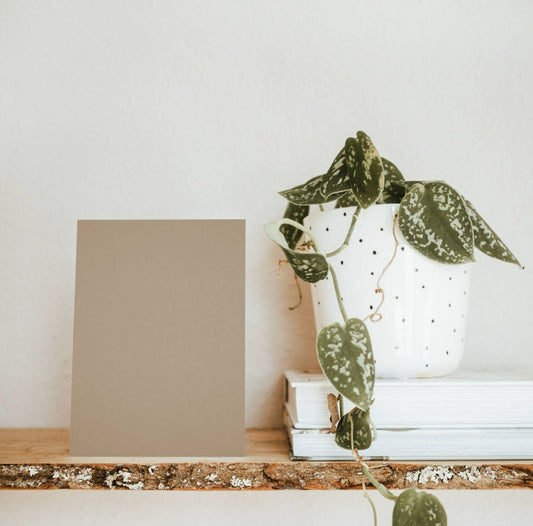 Cavallo Brown Color Chart Sample