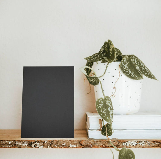 Dark Winter Sky Color Chart Sample