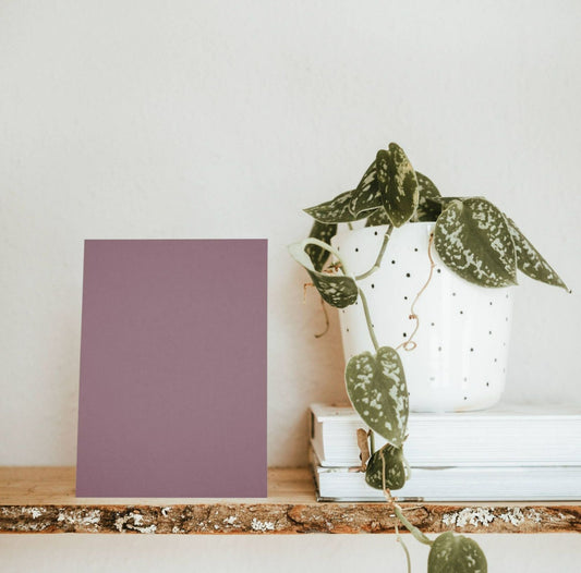 Mauve Everine Color Chart Sample