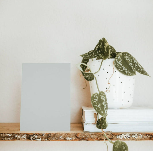 Ferreol Grey Color Chart Sample