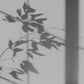 Peinture écologique Algo - Gris Cézembre
