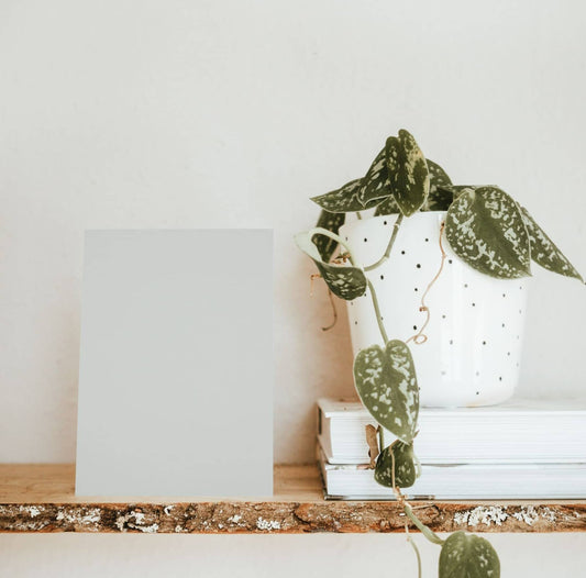 Houat Light Grey Color Chart Sample