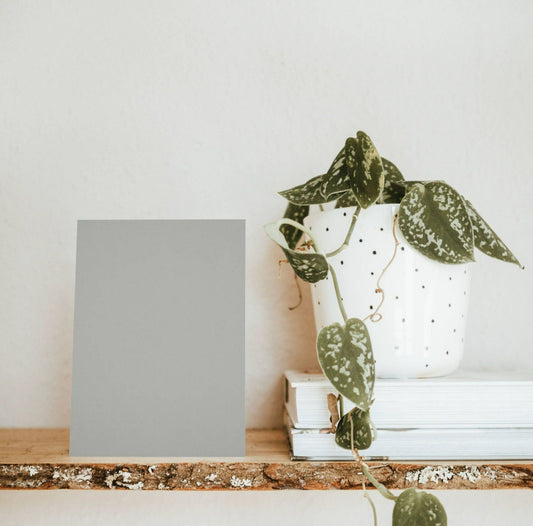 Cape Dolphin Grey Color Chart Sample