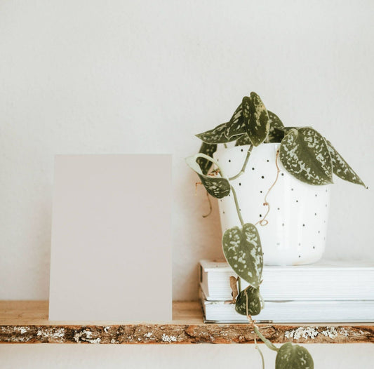 Yosemite Gray Color Chart Sample