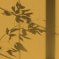Peinture écologique Algo - Jaune Citron Ensoleillé