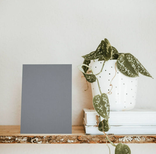 Kerguelen Grey Color Chart Sample