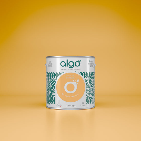 Algo Eco-Friendly Paint - Exquisite Mirabelle Yellow