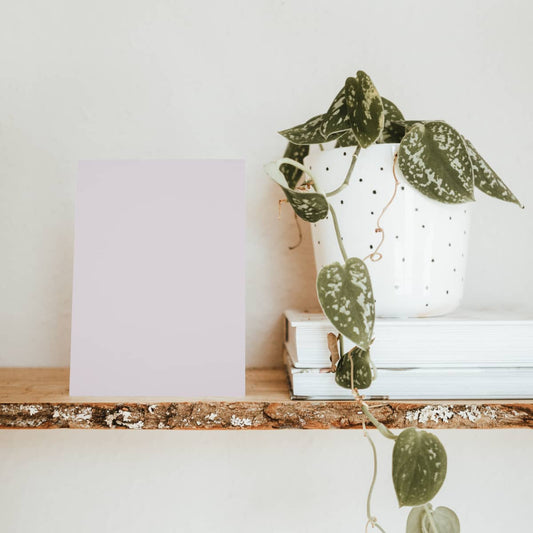 Petal Mauve Color Chart Sample