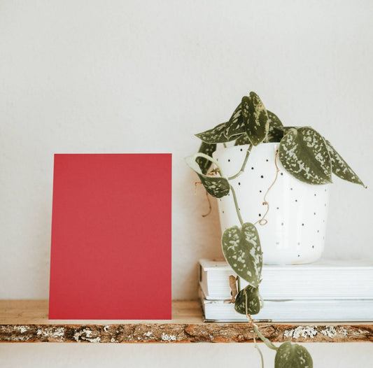 Cherry Basket Red Color Chart Sample