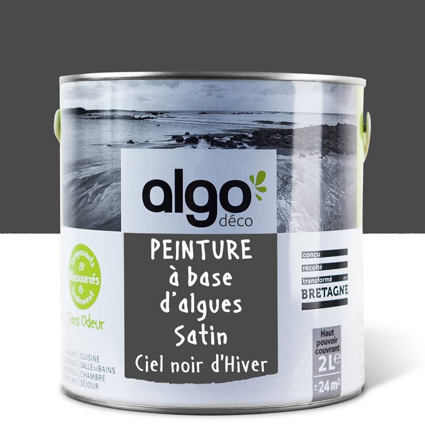 Peinture écologique Algo - Ciel noir d'hiver