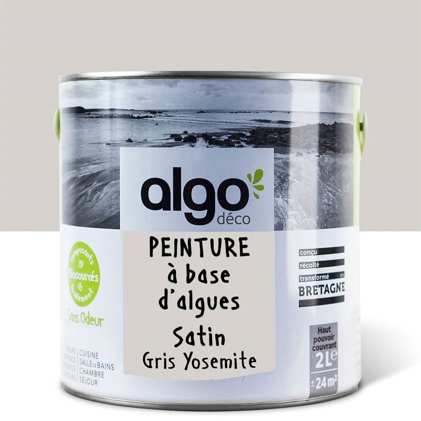 Peinture écologique Algo - Gris Yosemite