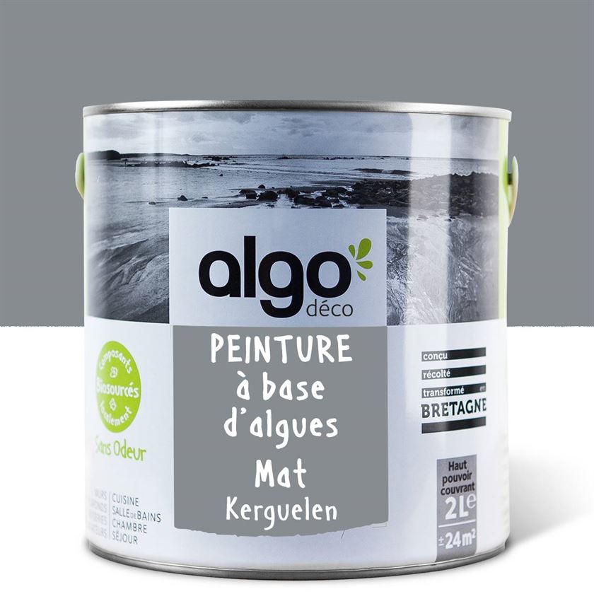 Peinture écologique Algo - Gris Kerguelen