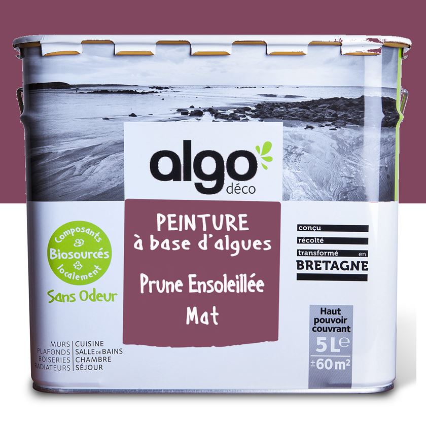 Peinture écologique Algo - Mauve Prune Ensoleillée