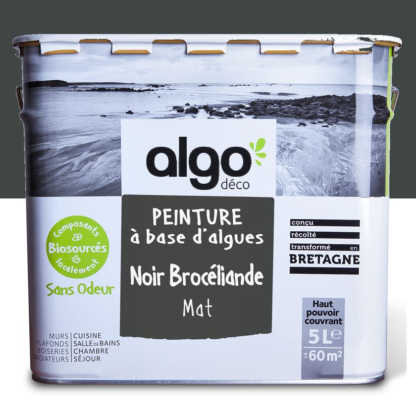 Peinture écologique Algo - Noir Brocéliande