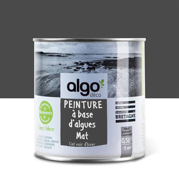 Algo Eco-Friendly Paint - Dark Winter Sky