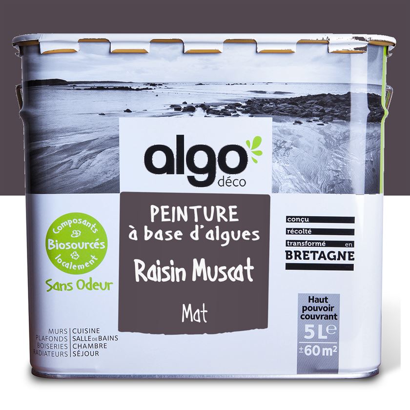 Peinture écologique Algo - Violet Raisin Muscat