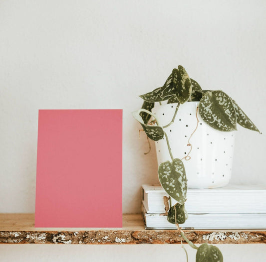 Lovely Pink Color Chart Sample