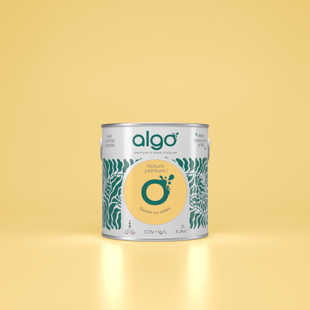 Peinture murs blanc ivoire – Page 2 – Peinture Algo