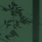 Peinture écologique Algo - Vert forêt de Pins