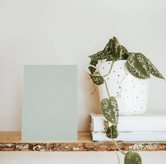 Agave Green Color Chart Sample