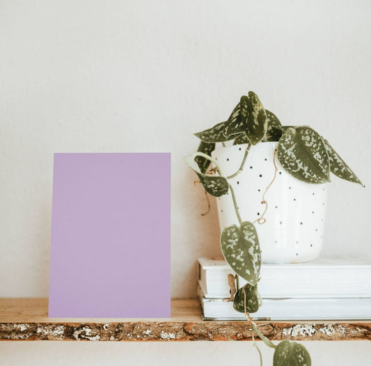 Sweet Violet Color Chart Sample