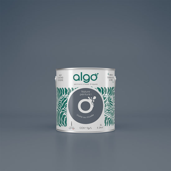 Algo Eco-Friendly Paint - Grey Visit to the Museum